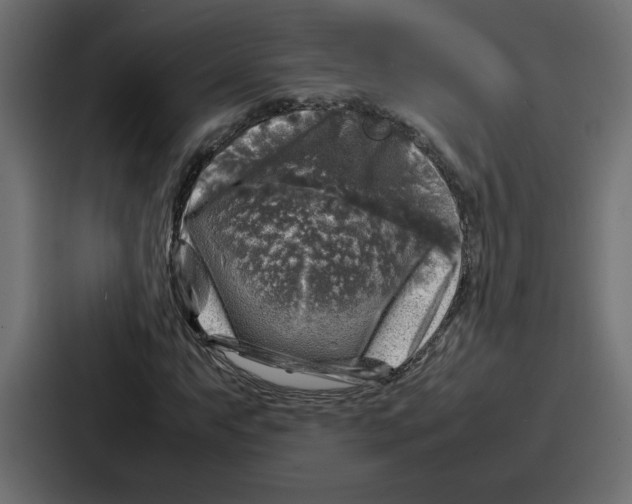 X0000087051063200705160946