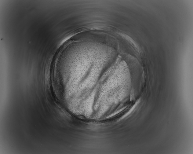 X0000087051065200705160946