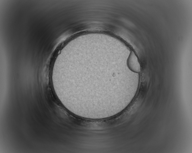 X0000087051067200705160946