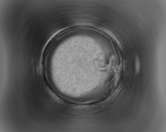 X0000087051068200705160946