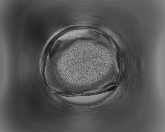 X0000087051069200705160946