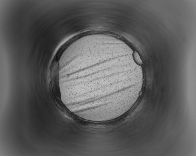 X0000087051070200705160946