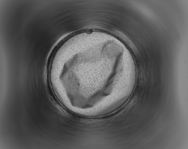 X0000087051076200705160946