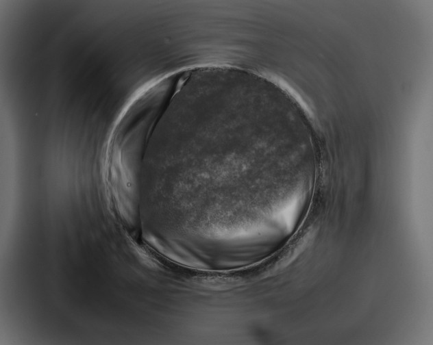 X0000087051077200705160946