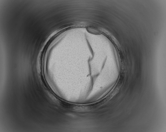 X0000087051083200705160946