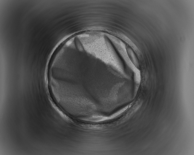 X0000087051084200705160946