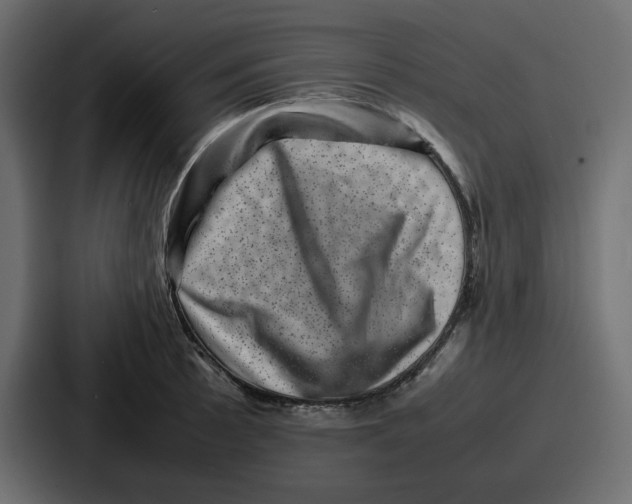 X0000087051089200705160946