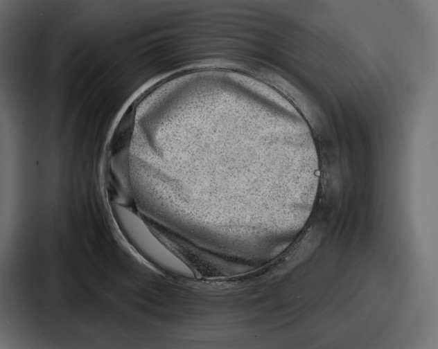 X0000087051092200705160946