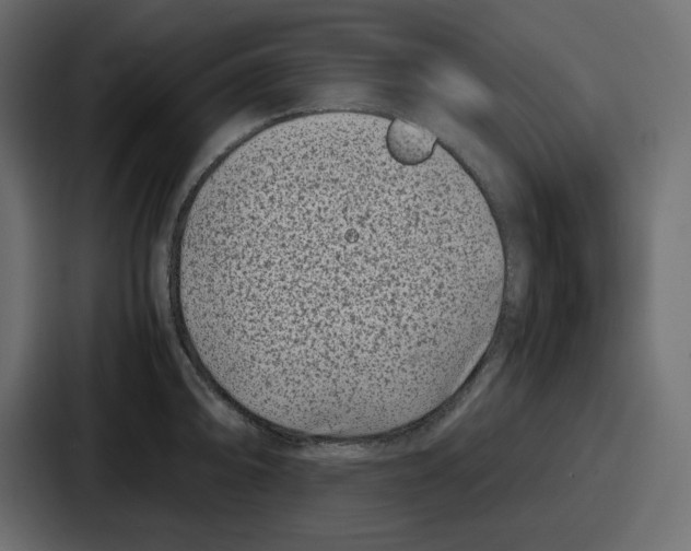 X0000087051094200705160946