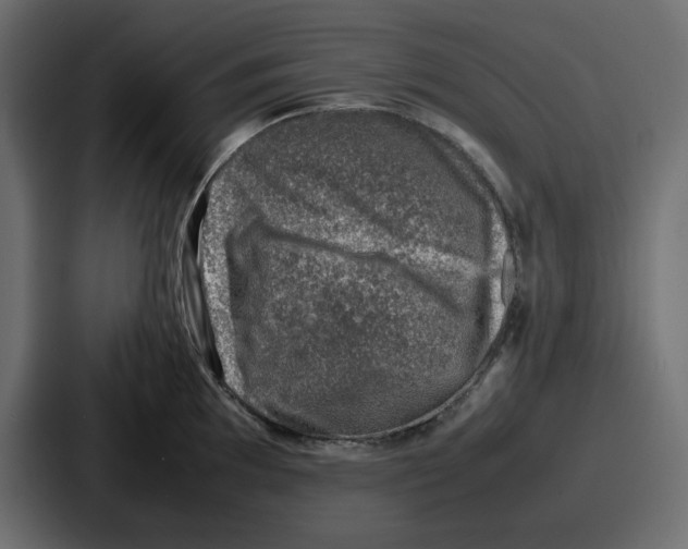 X0000087051097200705160946