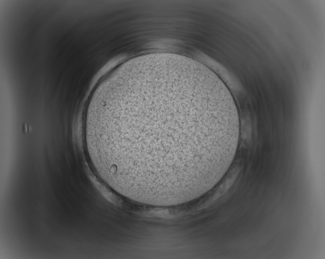 X0000087051098200705160946