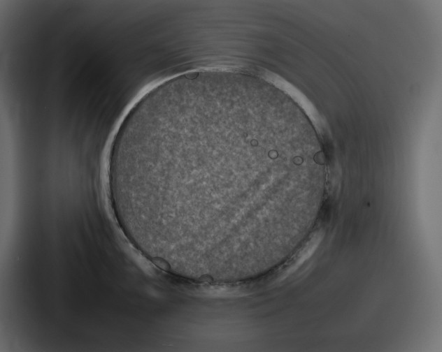 X0000087051099200705160946