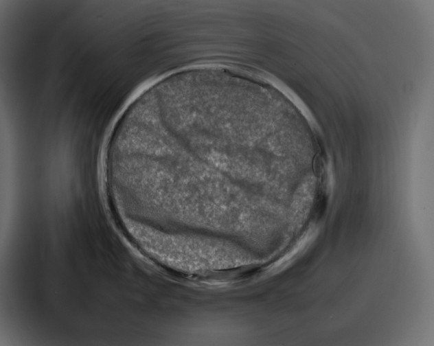 X0000087051101200705160946