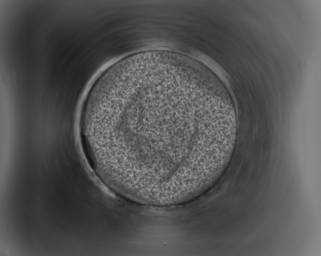 X0000087051104200705160946