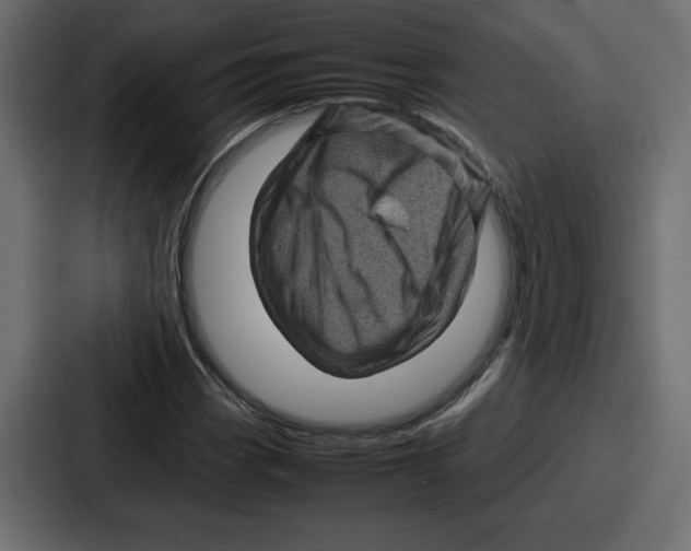 X0000087051113200705160945