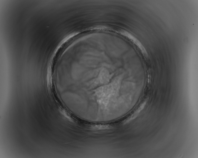 X0000087051117200705160945