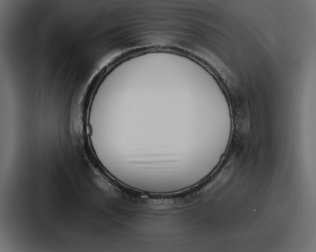 X0000087051118200705160945