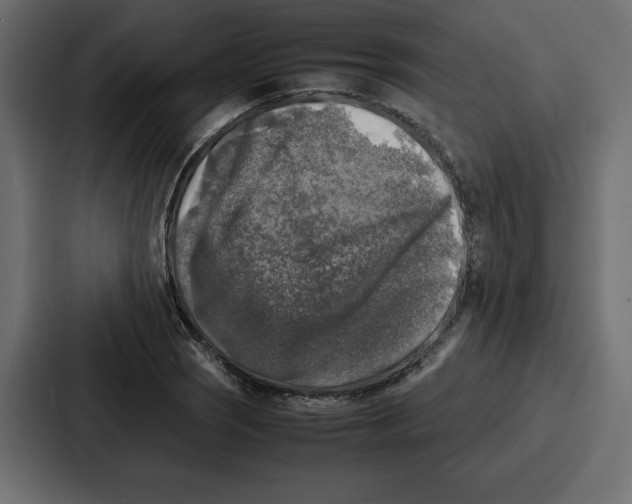 X0000087051121200705160945