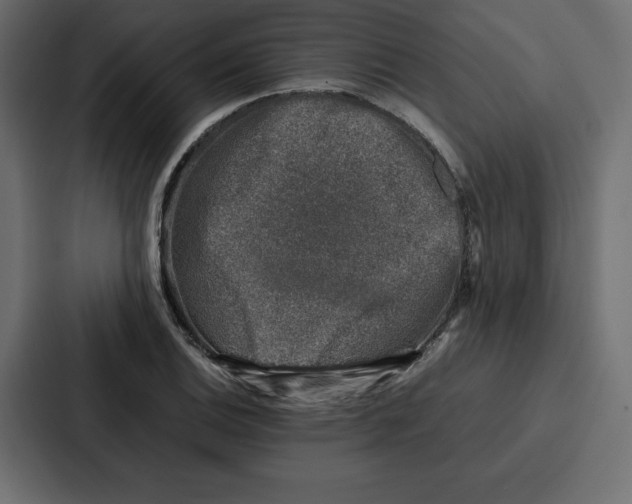 X0000087051124200705160945