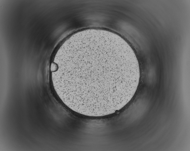 X0000087051126200705160945