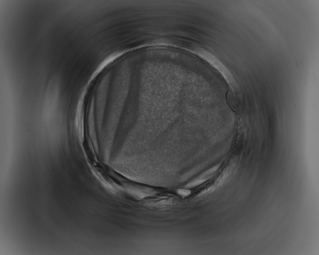 X0000087051127200705160945