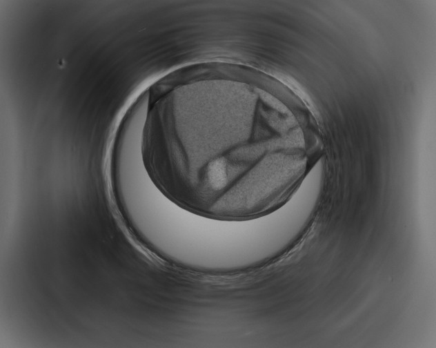 X0000087051128200705160945