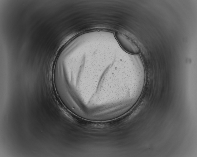 X0000087051129200705160945