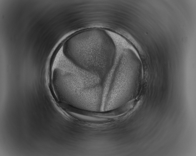 X0000087051132200705160945