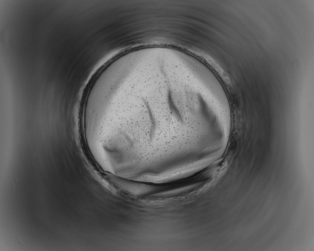 X0000087051134200705160945