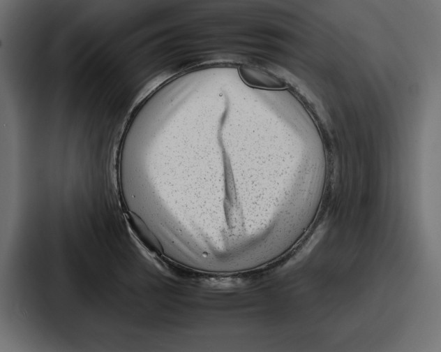 X0000087051137200705160946