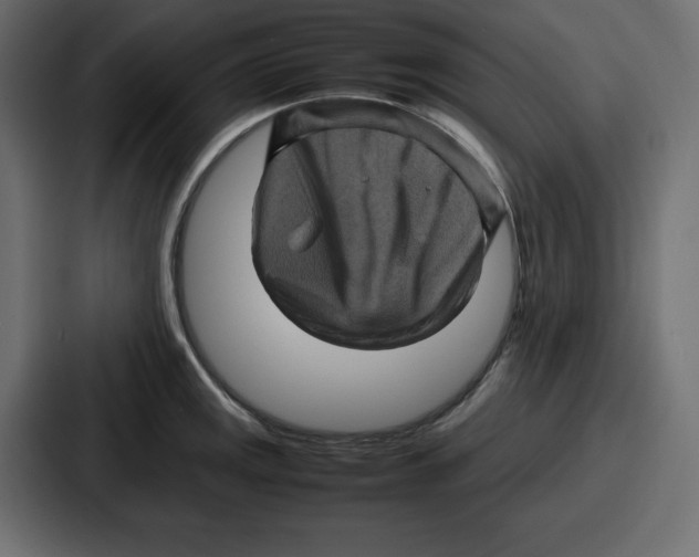 X0000087051141200705160946