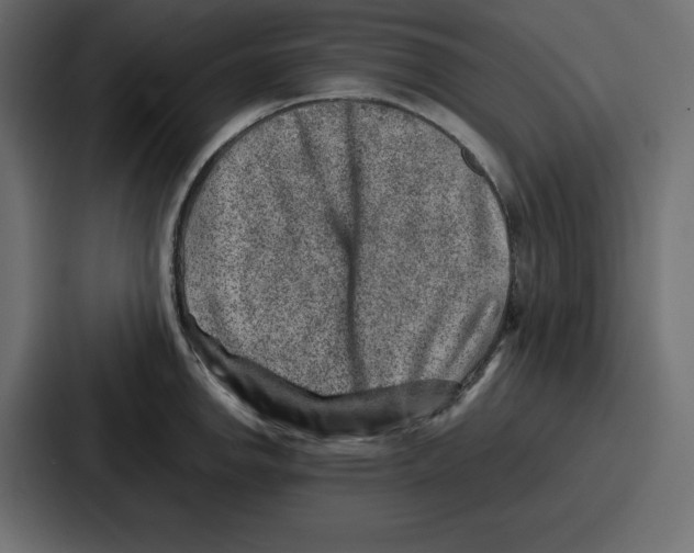 X0000087051142200705160946