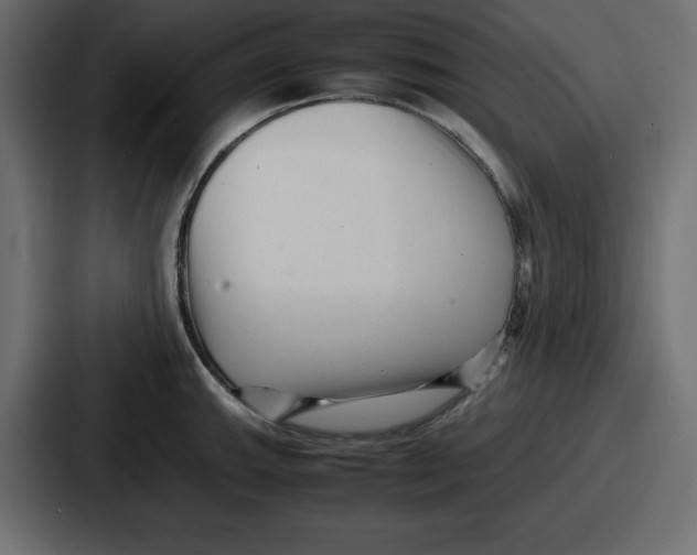 X0000087051143200705160946