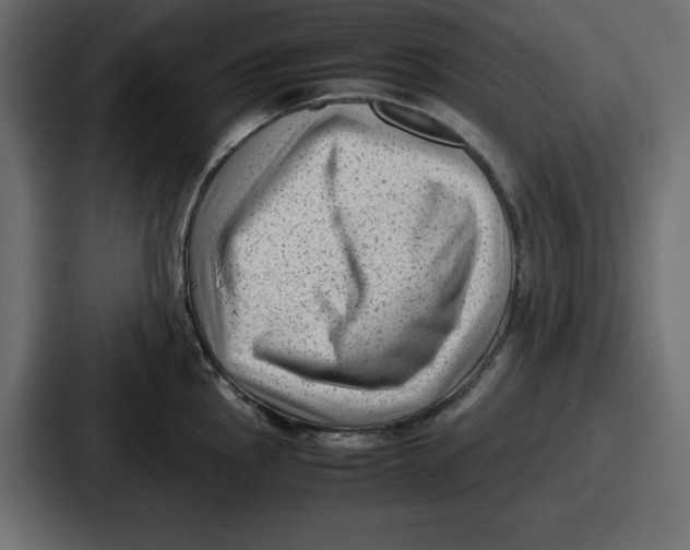 X0000087051145200705160946