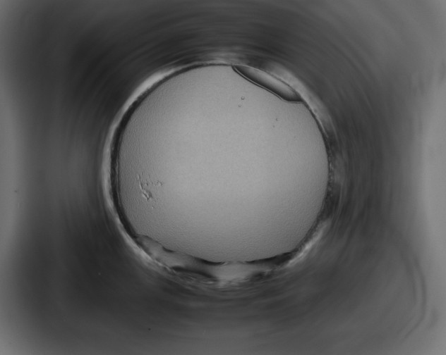 X0000087051147200705160946