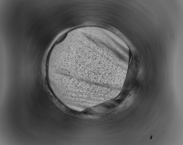 X0000087051148200705160946