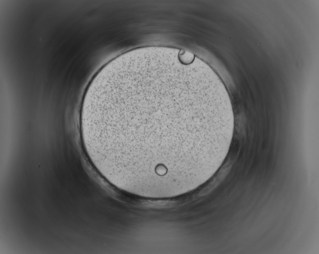 X0000087051150200705160946