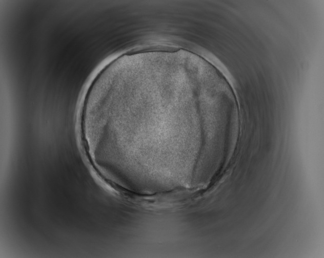 X0000087051152200705160946