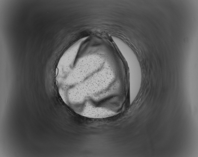 X0000087051153200705160945