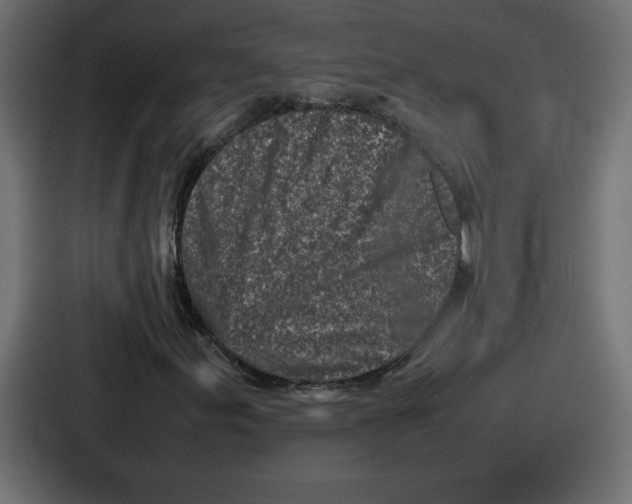 X0000087051155200705160945