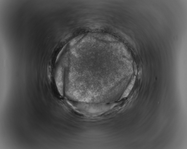 X0000087051156200705160945