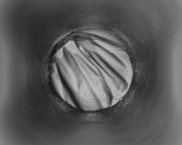 X0000087051160200705160945