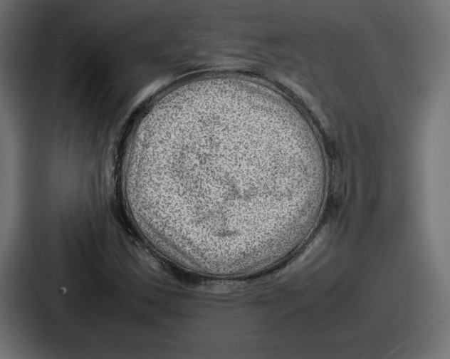 X0000087051163200705160945