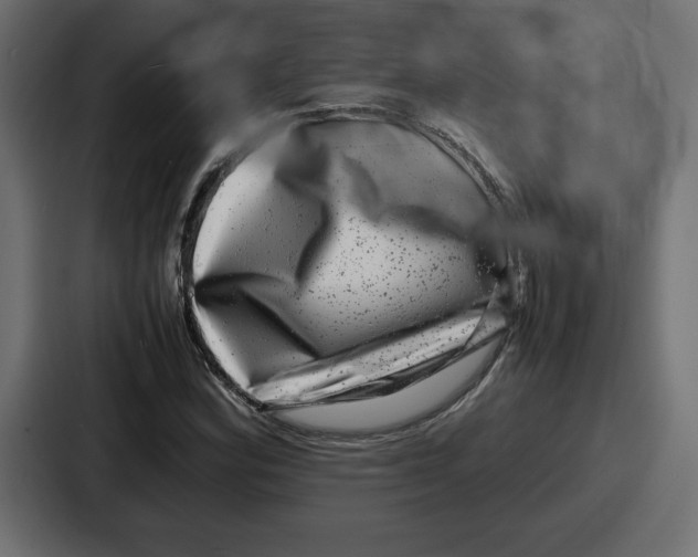 X0000087051164200705160945