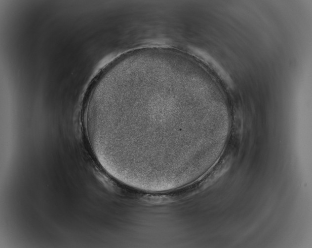 X0000087051168200705160945