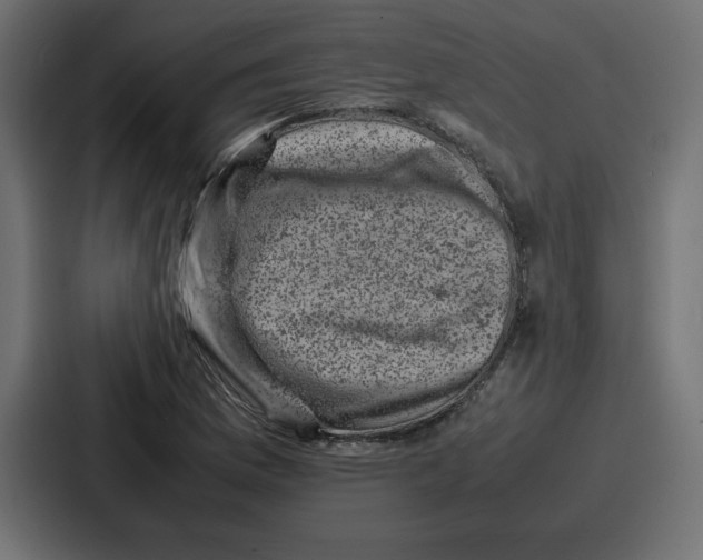 X0000087051169200705160945