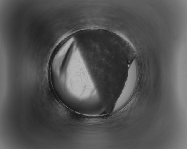 X0000087051173200705160945