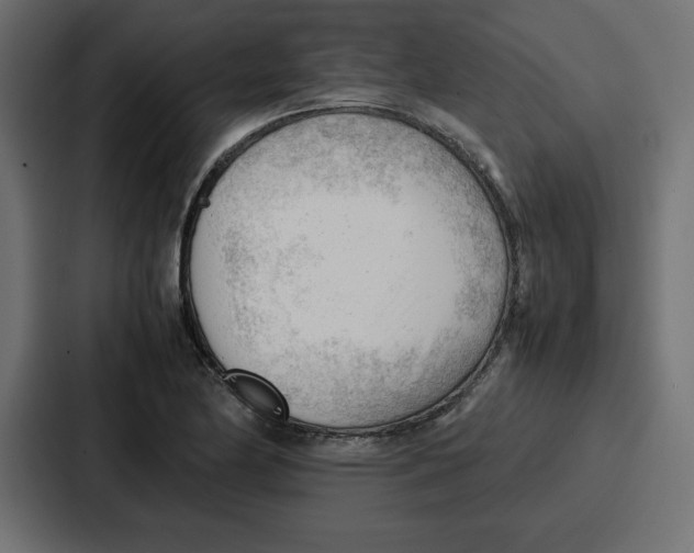 X0000087051174200705160945