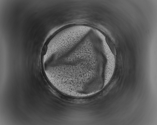 X0000087051176200705160945