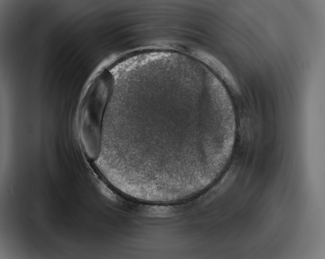 X0000087051180200705160945